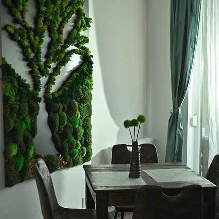 Mirvana Apartments Metheor Executive Suite Τιμισοάρα Εξωτερικό φωτογραφία