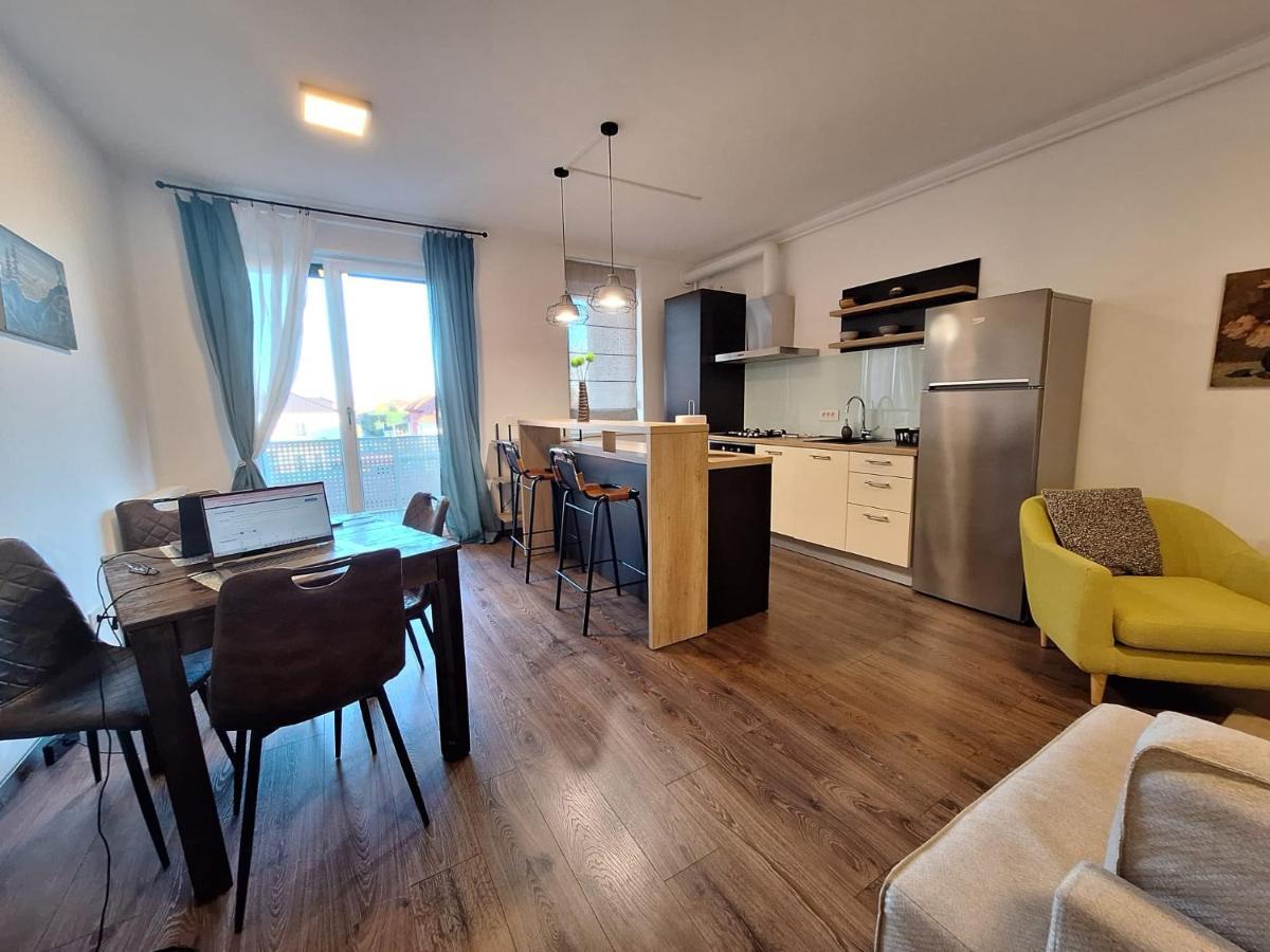 Mirvana Apartments Metheor Executive Suite Τιμισοάρα Εξωτερικό φωτογραφία