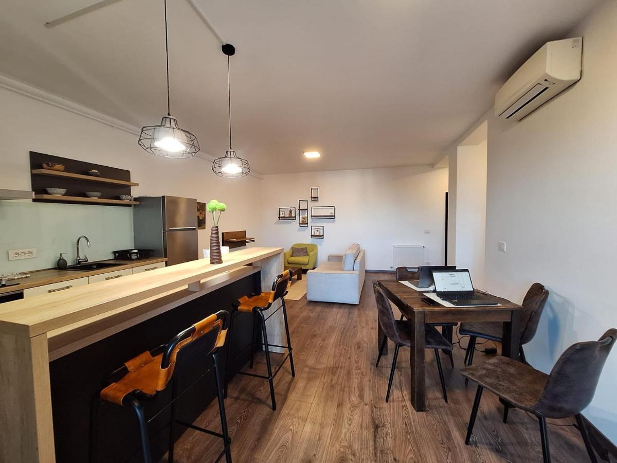 Mirvana Apartments Metheor Executive Suite Τιμισοάρα Εξωτερικό φωτογραφία