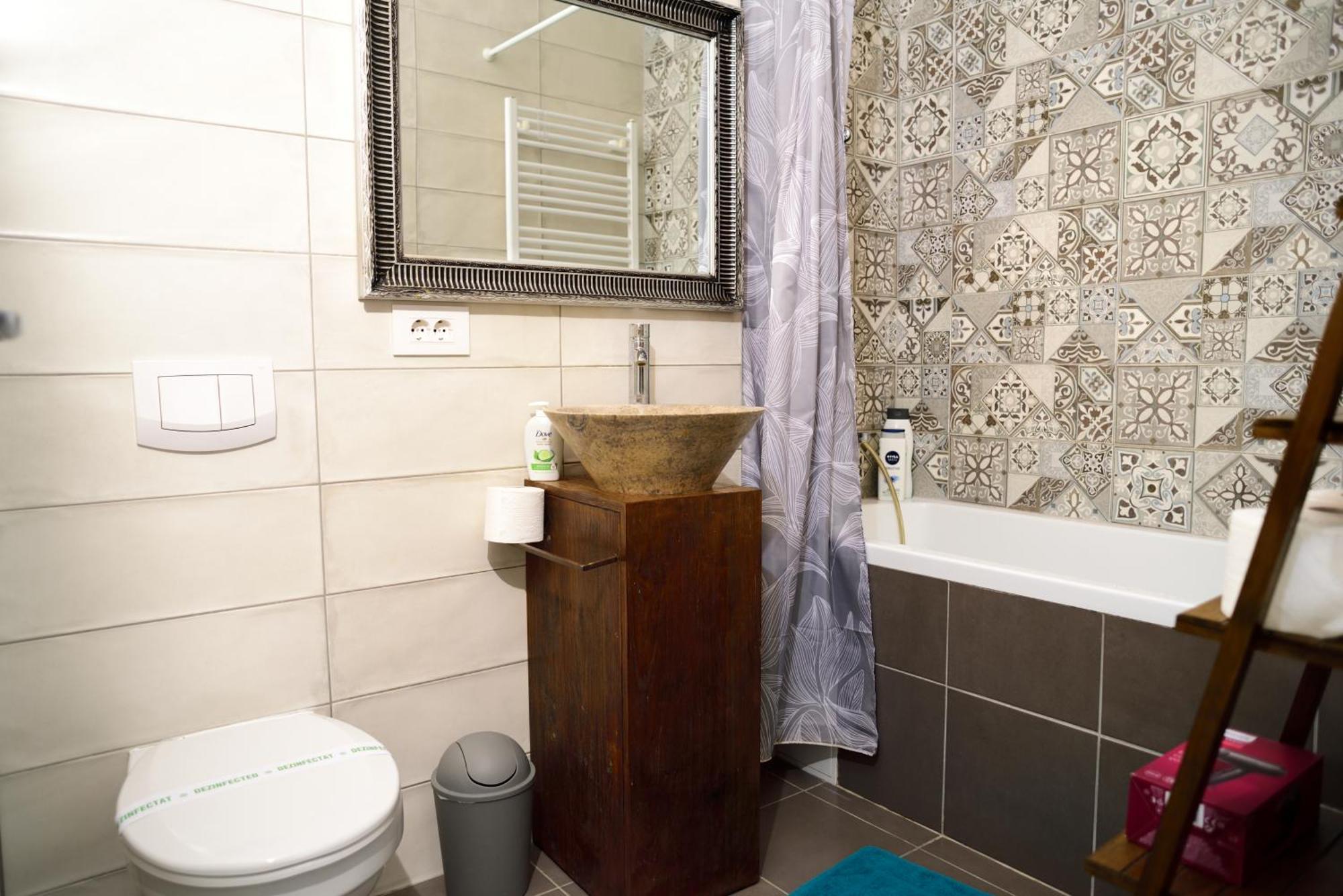 Mirvana Apartments Metheor Executive Suite Τιμισοάρα Εξωτερικό φωτογραφία