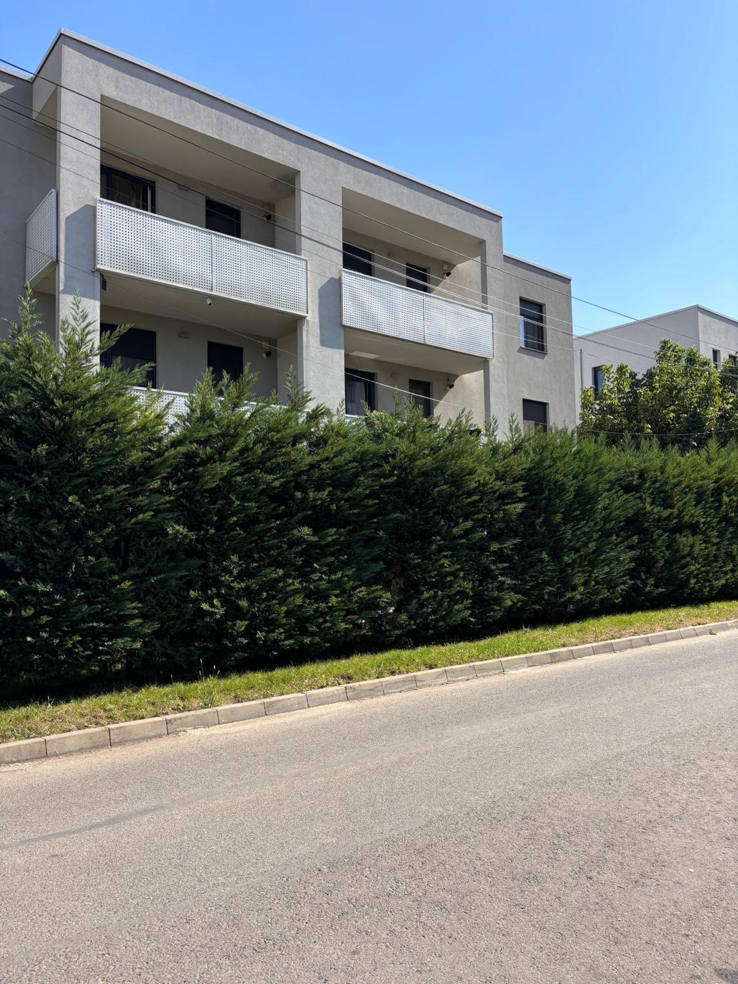 Mirvana Apartments Metheor Executive Suite Τιμισοάρα Εξωτερικό φωτογραφία