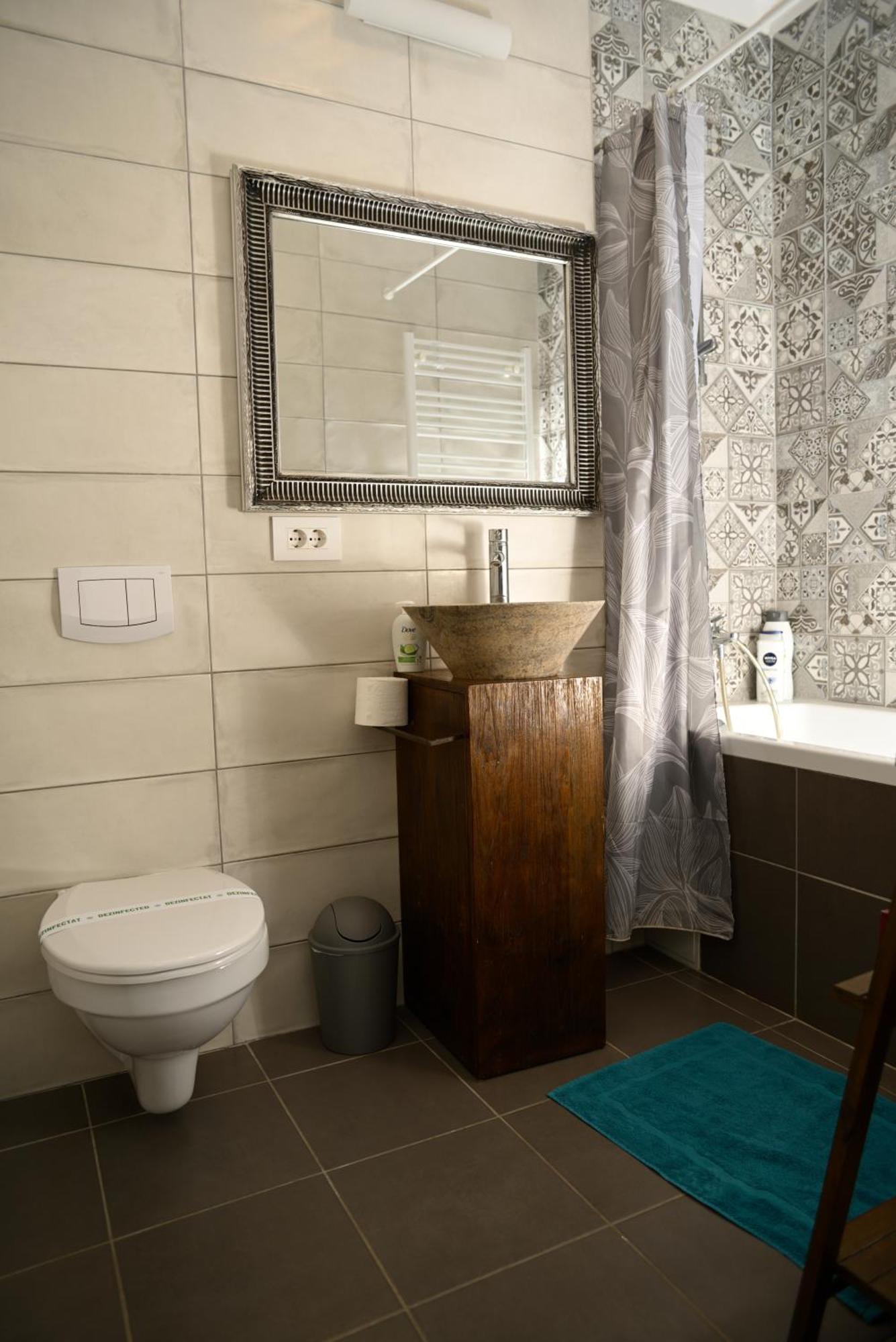 Mirvana Apartments Metheor Executive Suite Τιμισοάρα Εξωτερικό φωτογραφία